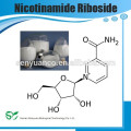 GMP Fabrik liefern hohe Reinheit 99% Nicotinamid Riboside / cas: 1341-23-7
